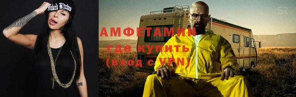 сатива Верея