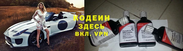 крисы Богородицк
