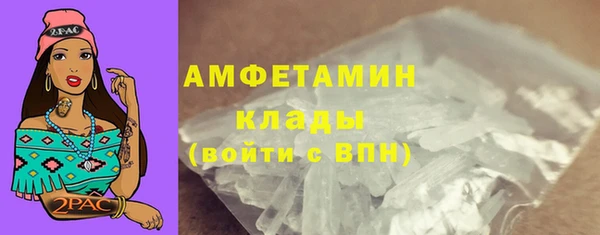 трава Бородино
