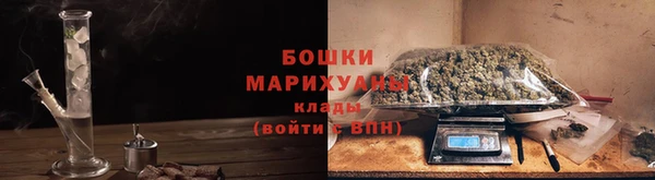 трава Бородино