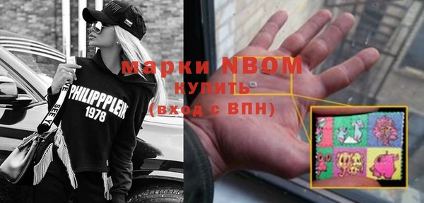 сатива Верея
