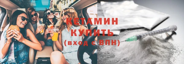 трава Бородино