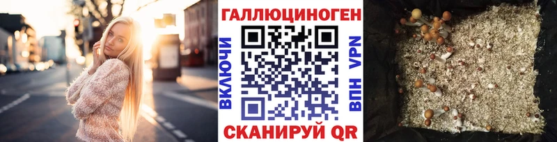 что такое   Реж  даркнет как зайти  Галлюциногенные грибы ЛСД 